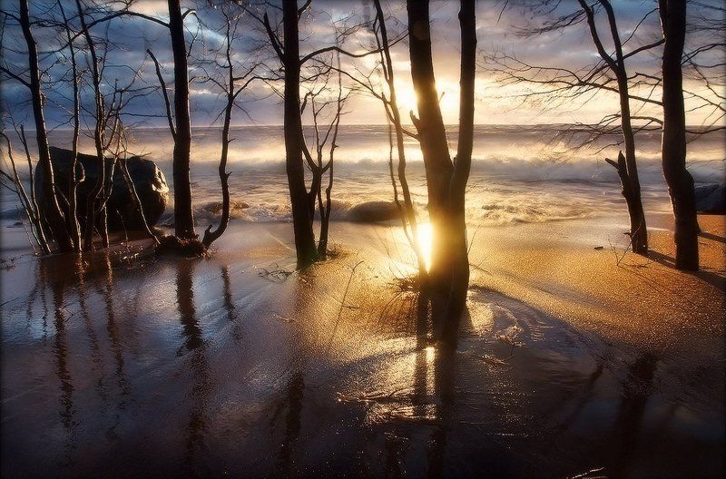 Осенний штормphoto preview