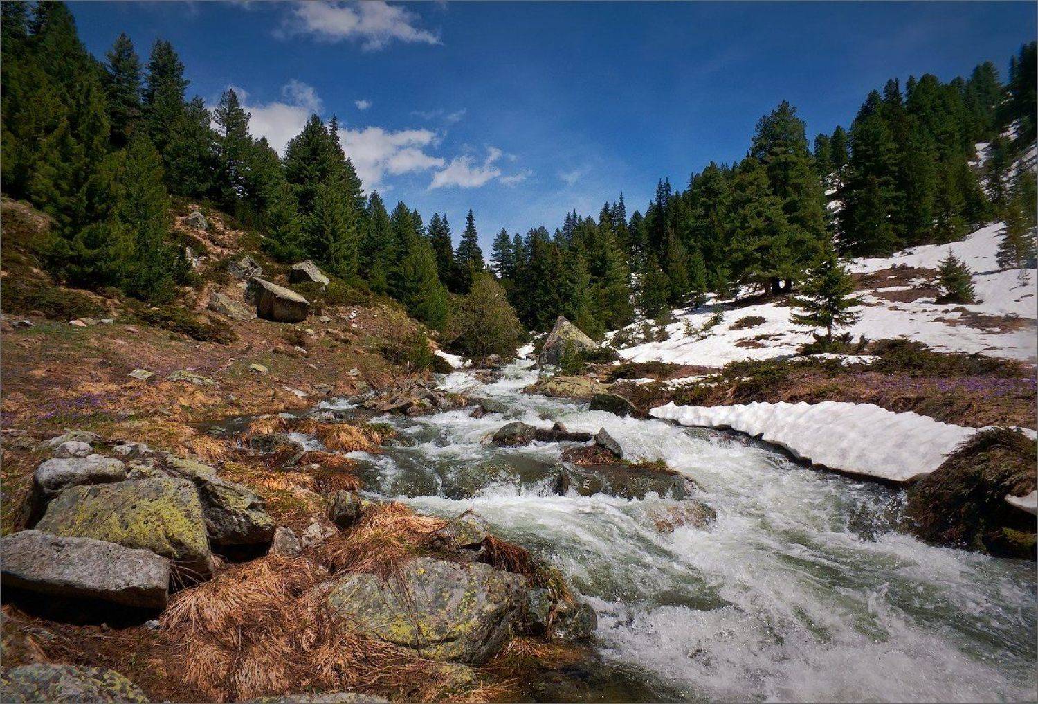 bulgaria, Svetoslav Georgiev