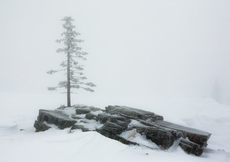 пурга, уреньга, южный урал Надежный фундамент - залог успешного ростаphoto preview