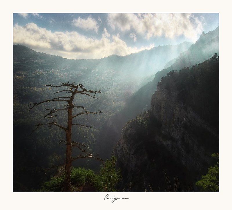 Навстречу солнцуphoto preview