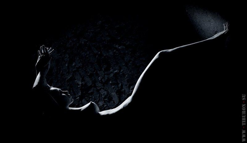 Dark., Light, Руки, Светографика, Студия, Форма, Цветы ***photo preview