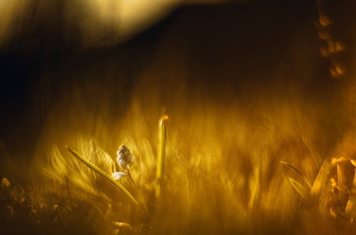 , Татьяна Аверина