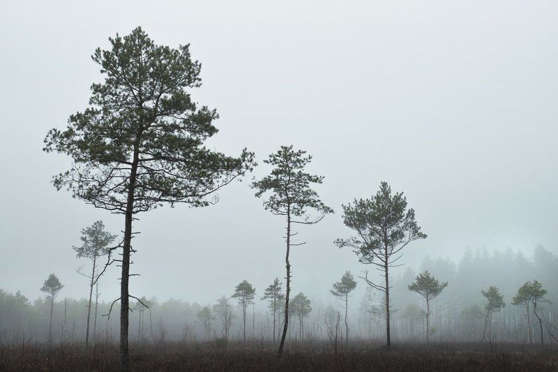 Просто тихий вечерphoto preview