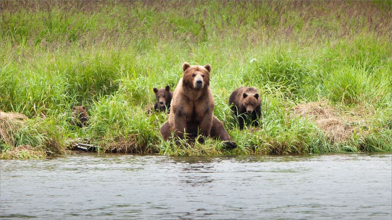 Камчатка Раз в крещенский вечерок девушки гадали ... фото превью