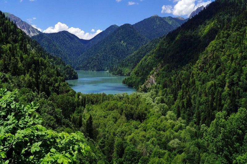 рицаphoto preview