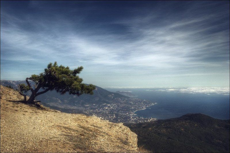 Выше ветраphoto preview