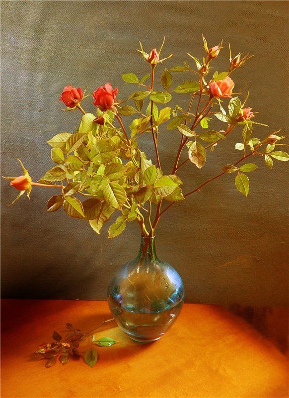 С розамиphoto preview