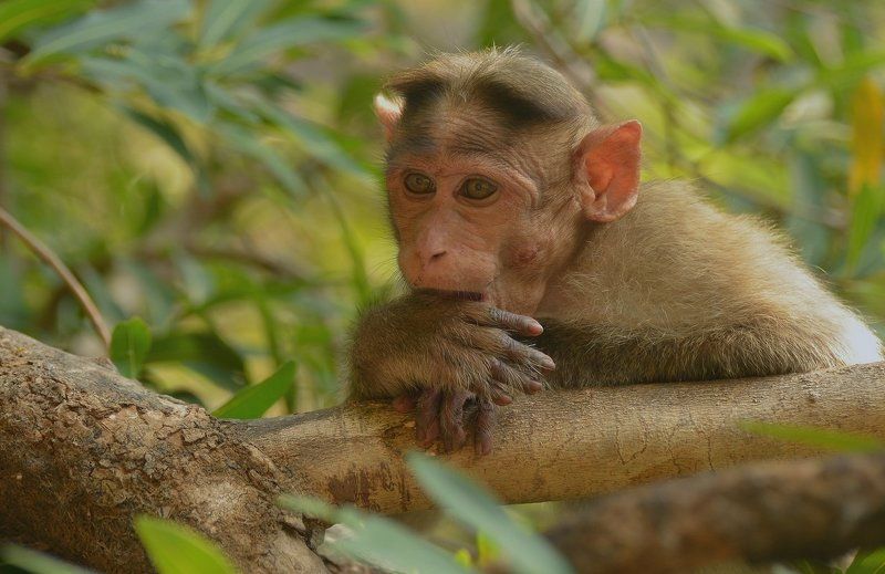 Философphoto preview