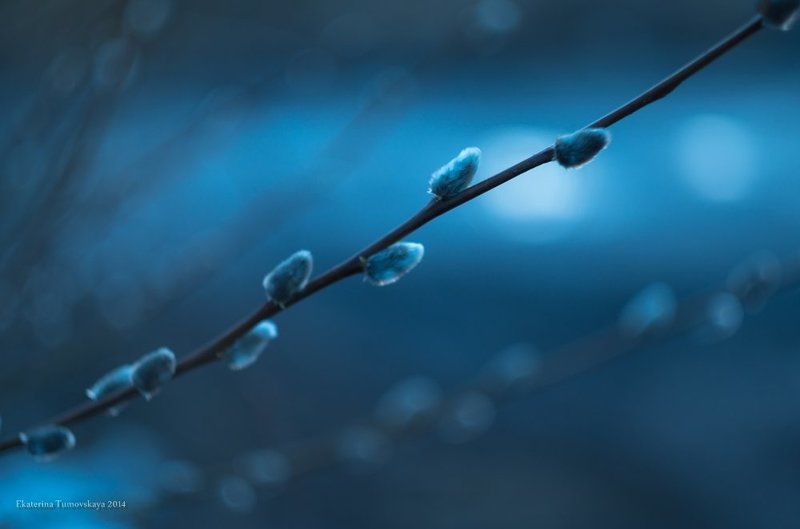 Labyrinth of Dreamsphoto preview