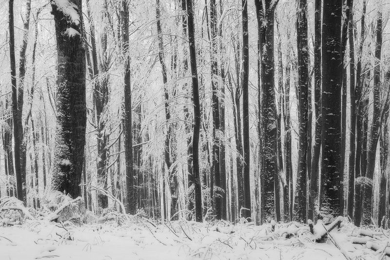 2020 фото превью