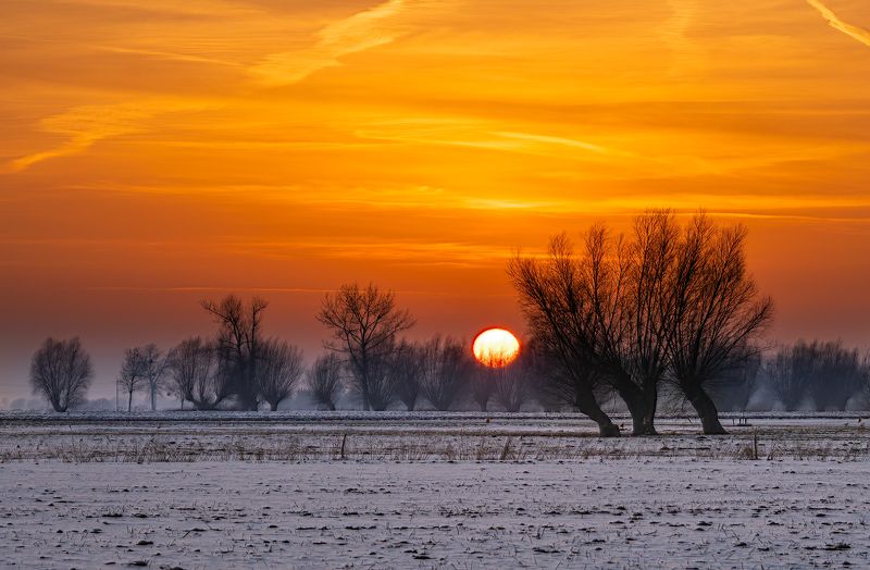 Żuławyphoto preview