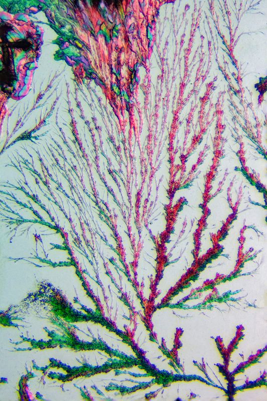 Sodium carbonatephoto preview