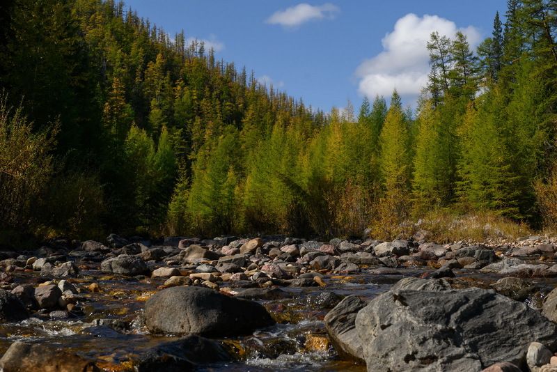 природа Золотая осень Хабаровского краяphoto preview