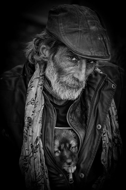 #portrait #homeless #dog #black and white Mortezaphoto preview