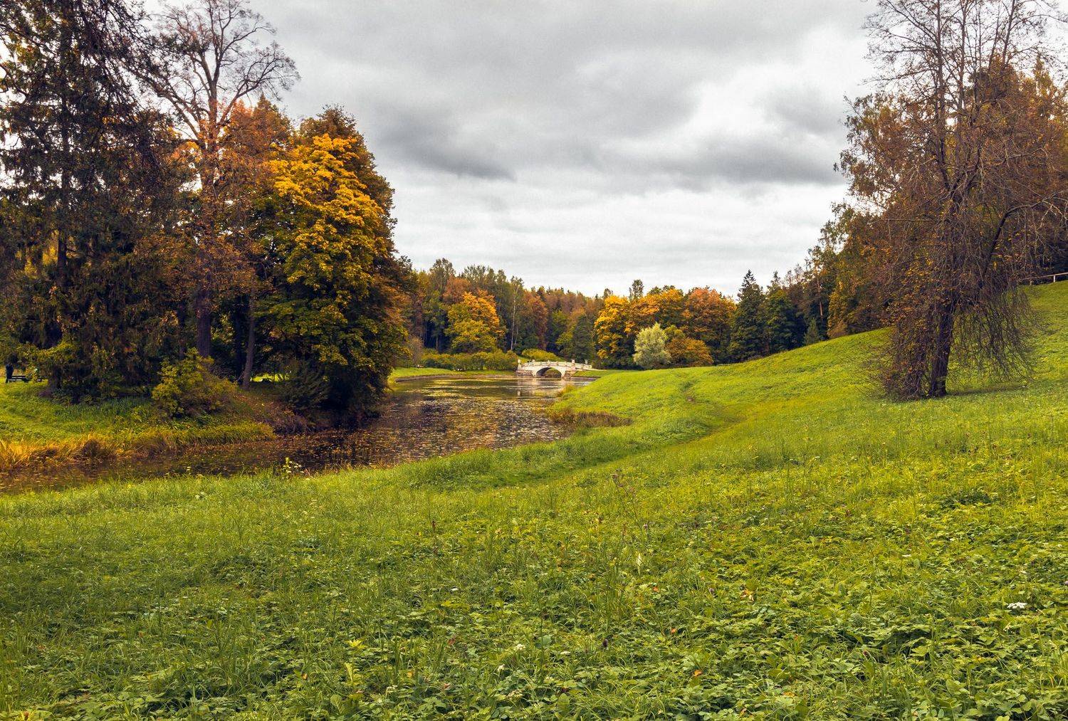 Автор: Алексей Герасимов , Алексей Герасимов