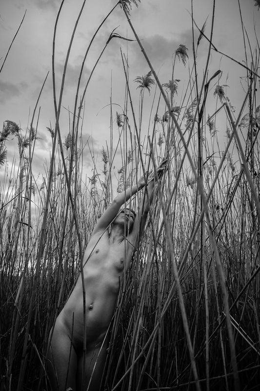 Нараphoto preview