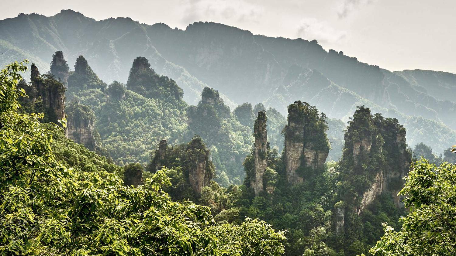 Китай, Чжанцзяцзе, Сергей Низовцев