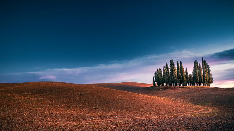 Tuscanyphoto preview