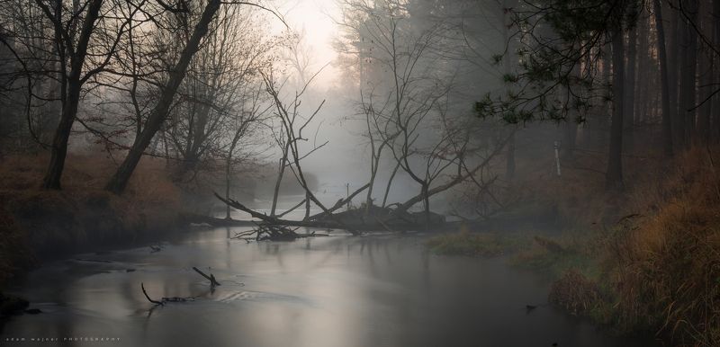 nature, fog, beauty, in, nature, water, sky, landscape, forest, river, природа, туман, красота, в, природе, воды, небо, пейзаж, лес, река The day wakes up, but I stay in my dream.photo preview