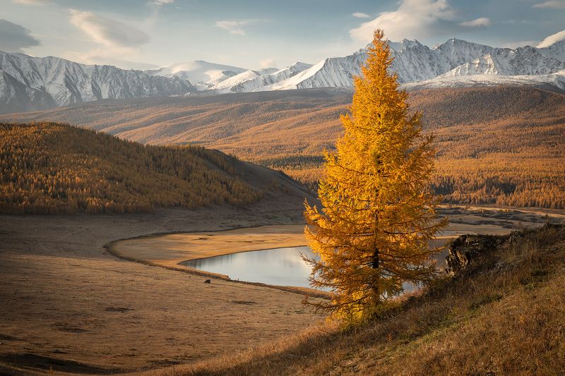 #алтай Джангыскольphoto preview