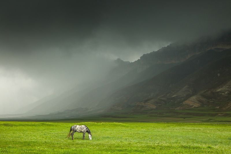 Перед бурейphoto preview