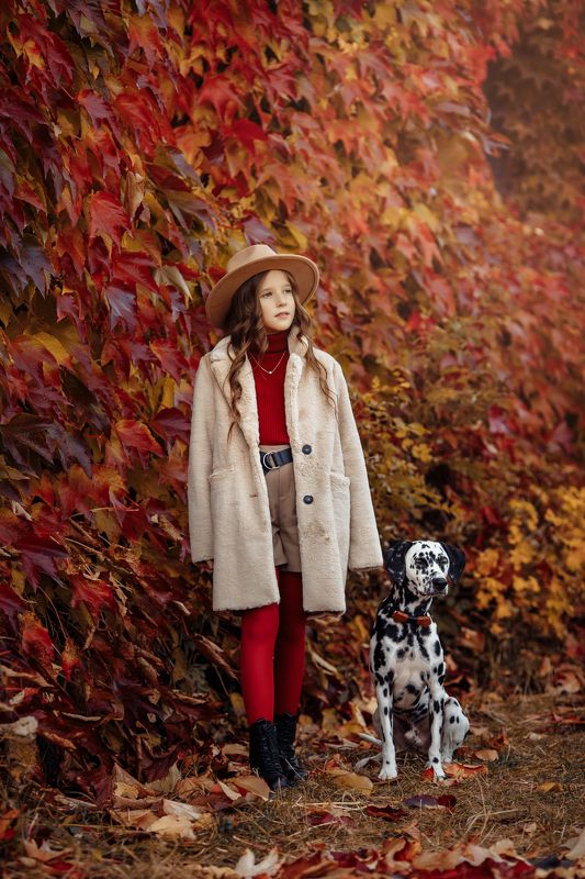 детское фото, далматинец, осень, дети, baby photo, dalmatian, autumn, children photo preview