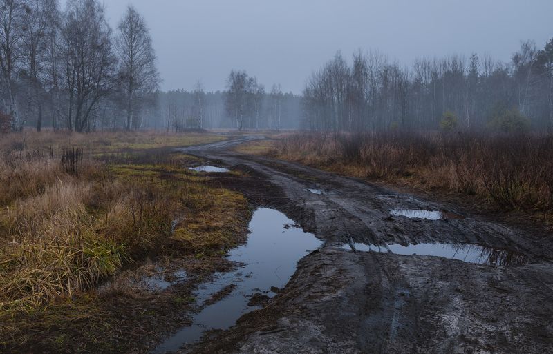 луг зима декабрь сумерки туман Сырой декабрь стучится в двериphoto preview