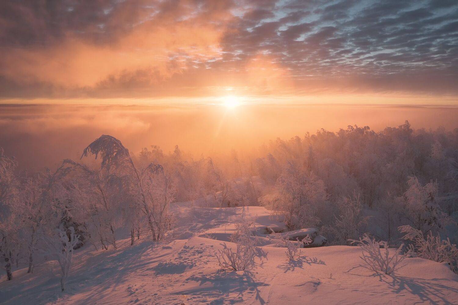 Сказочное утро. Автор: Андрей Чиж зима, мороз, губаха, гора, крестовая, снег, рассвет, утро, солнце, пермь, Андрей Чиж