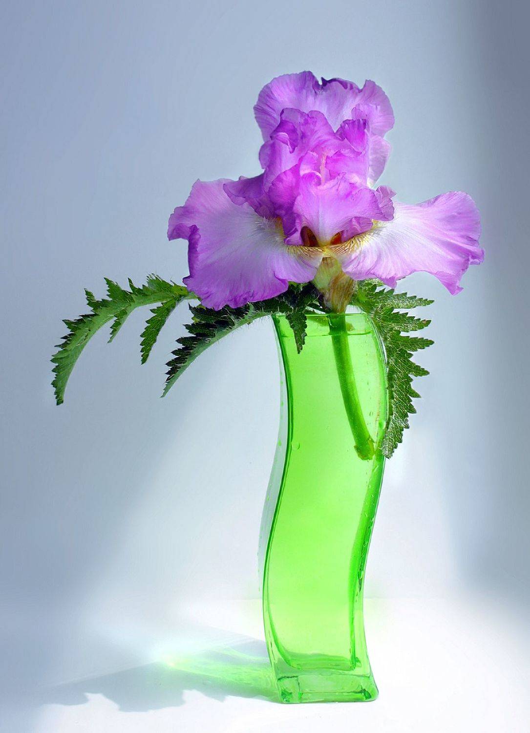 Воображуля. Автор: Ольга Заболотская , Ольга Заболотская