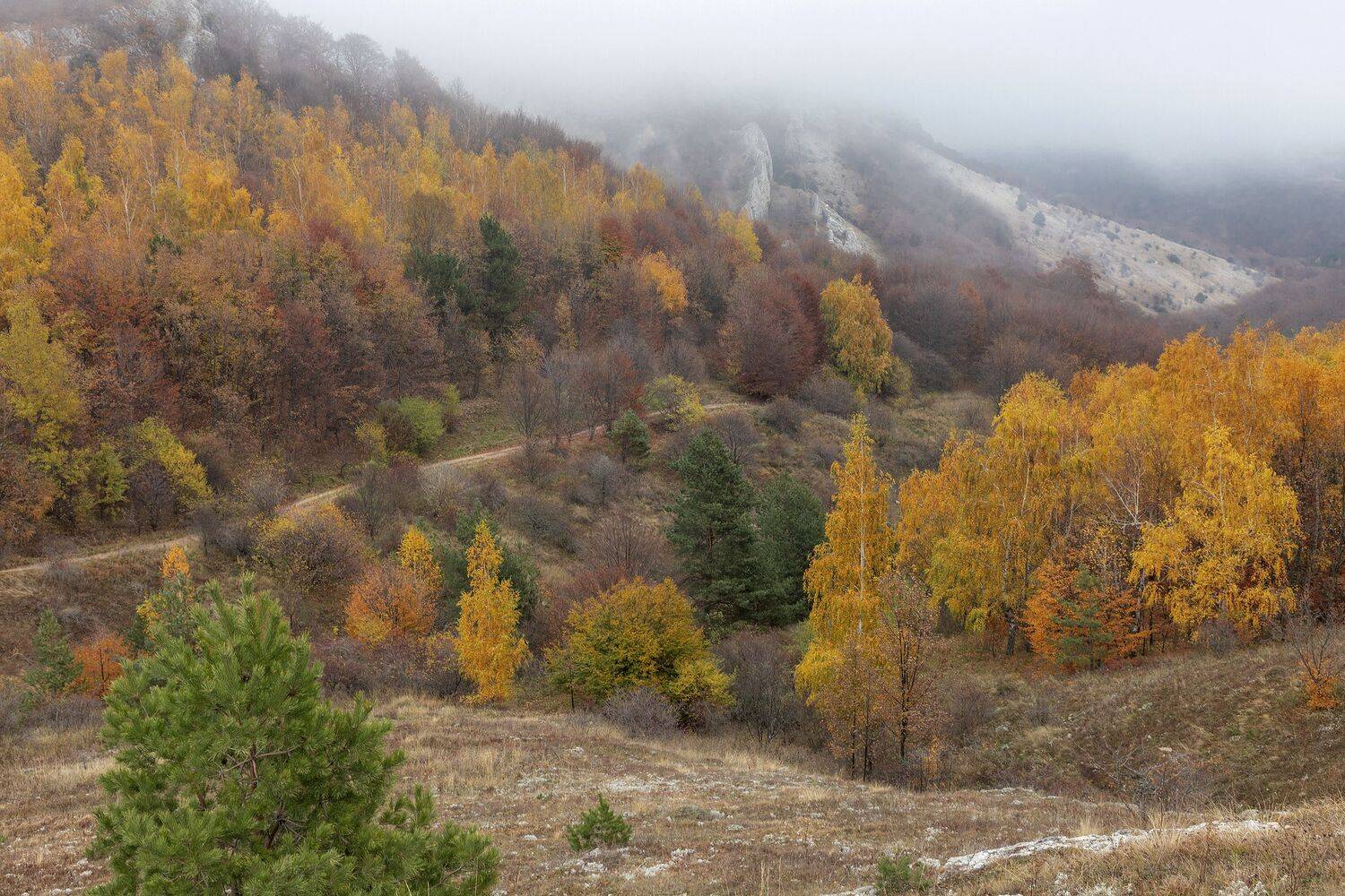 Осень в горах. Автор: Елена Гусева Крым, Елена Гусева