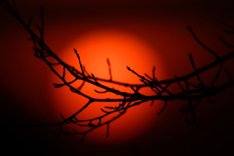 закат, солнце, вечер На закатеphoto preview