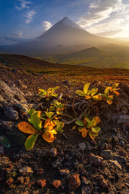 Камчатка, вулкан, закат, горы, природа, путешествие, фототур, пейзаж, У подножия великанаphoto preview