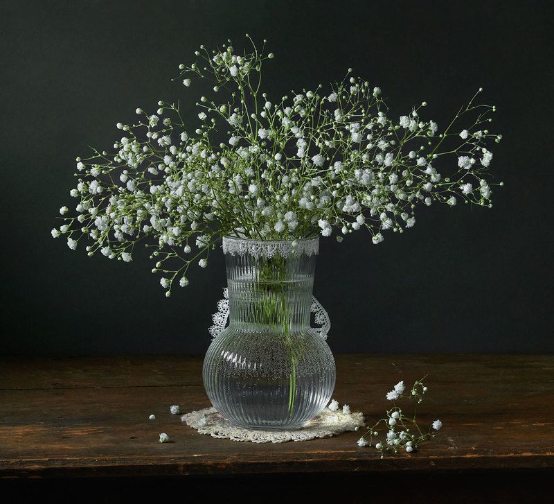 гипсофила, букет, ваза photo preview