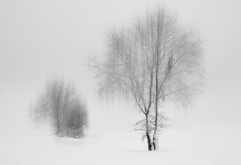 among white fields...photo preview
