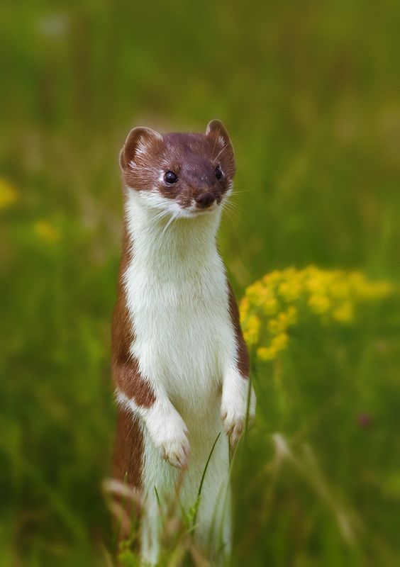 ,,.-,,,-,,,photo preview