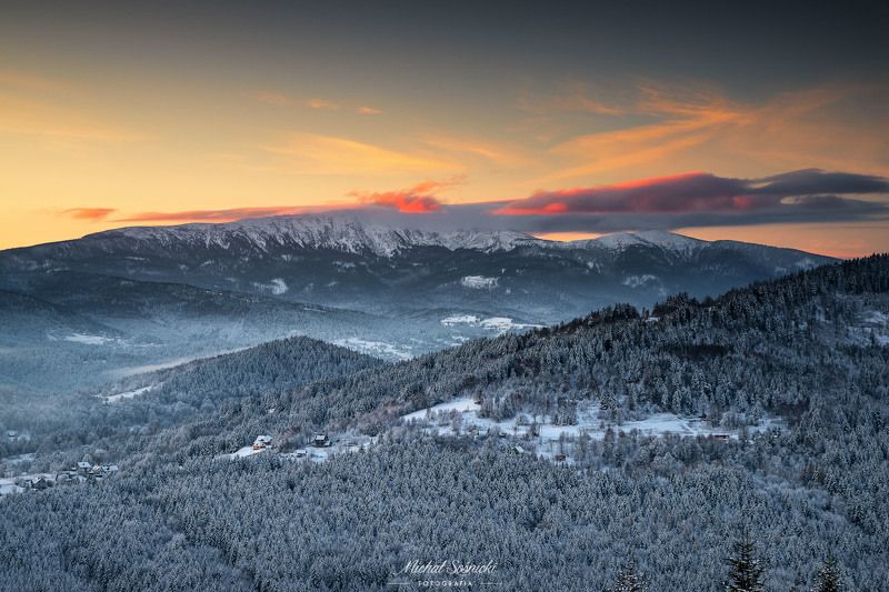 #tree #mountains #summer #sunset #wood #nature #amazing #earth #pics #photo #best #poland Babia Góra.photo preview