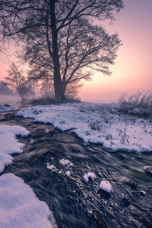 A bit of winterphoto preview