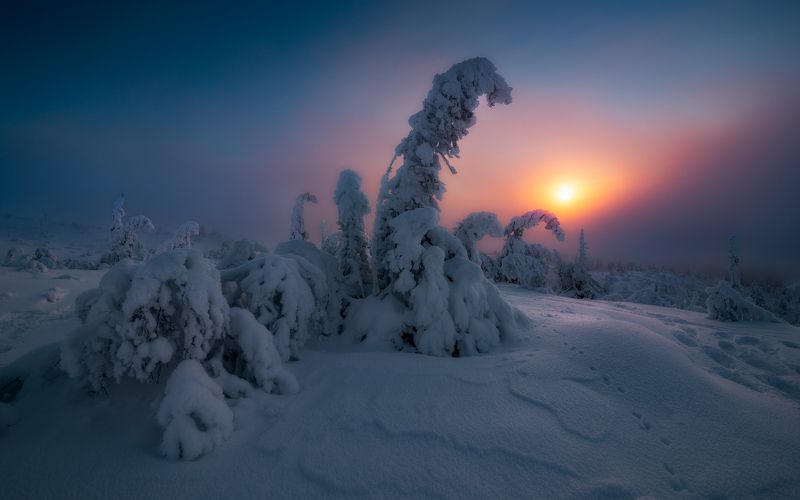 снег, солнце, зима, Кольский полуостров, закат Уставшее солнце.photo preview
