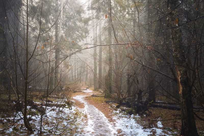 утро туманное... фото превью