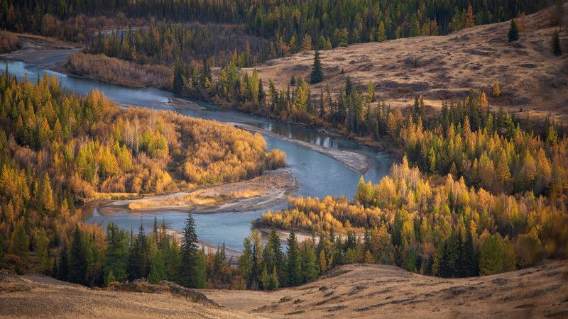 Алтайские гобеленыphoto preview