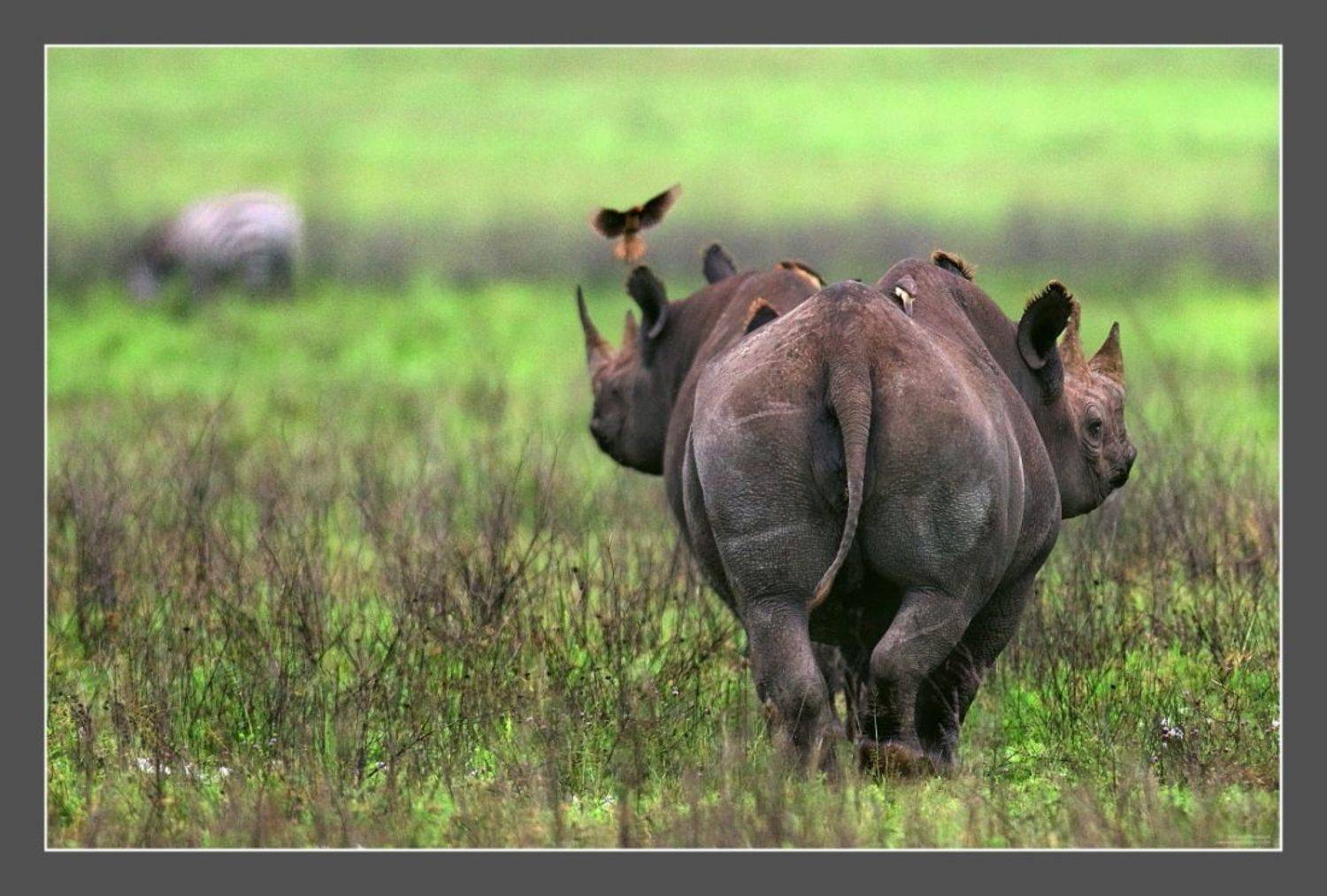 Автор: Андрей Гудков , Андрей Гудков