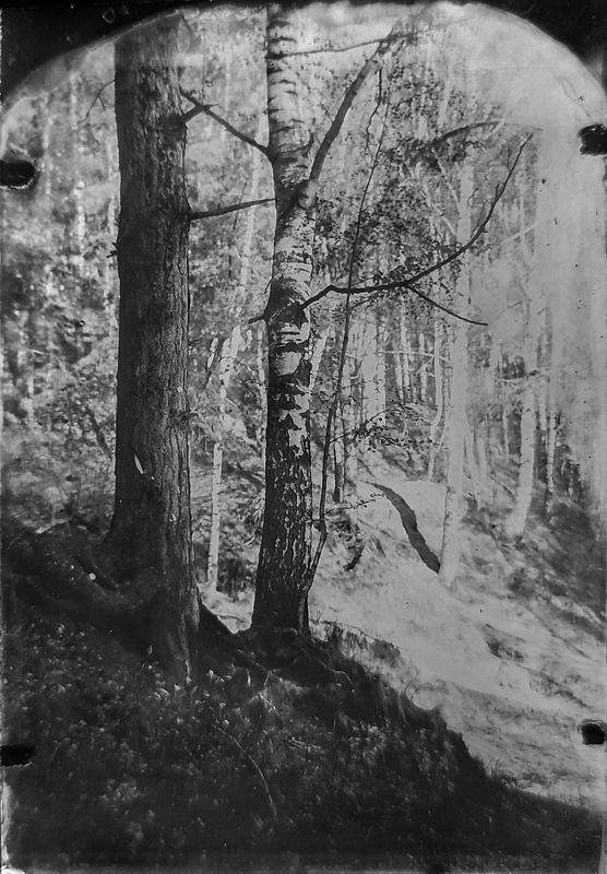 амбротип,  плёнка, средний формат, пейзаж, большой формат. photo preview