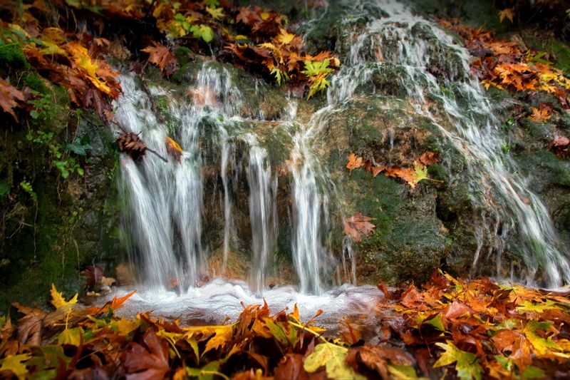 Осенняя пора.. Греция.photo preview