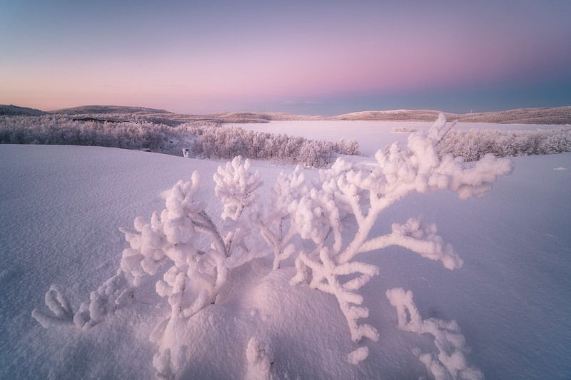 россия, мурманская область, кольский полуостров, пейзаж, природа, зима, заполярье, ночь, озеро Оленьи рогаphoto preview