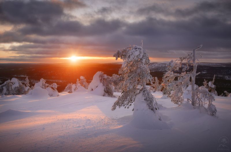 пейзаж, природа, зима, лапландия Зимние фигурыphoto preview