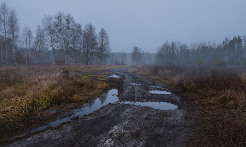 луг зима декабрь сумерки туман лужи Сырой декабрь бродит по лугамphoto preview