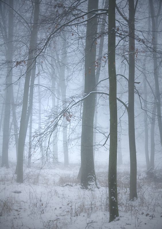 in winter decorations...photo preview