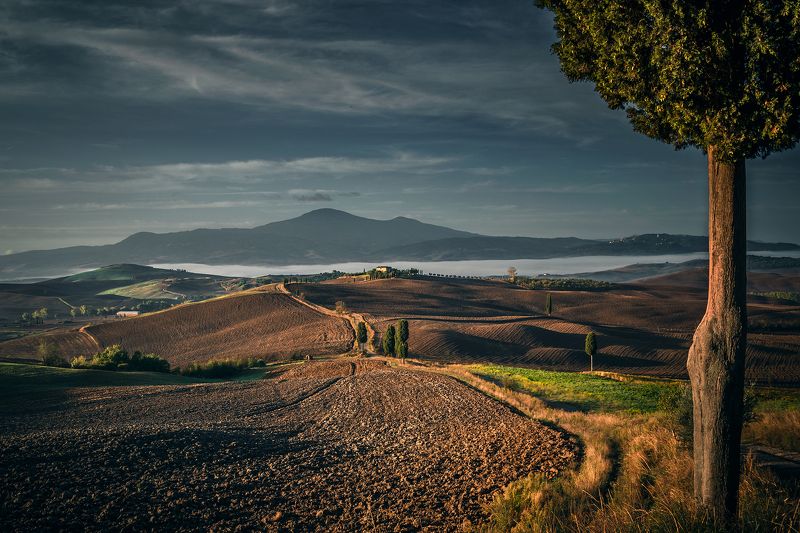 Tuscanyphoto preview