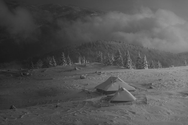 winter timephoto preview