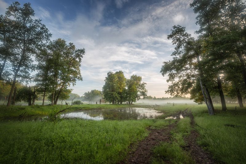 Весенний деньphoto preview